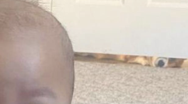 While netizens were playing with their children, the dog lay at the door and peeped under the door frame: What are you doing carrying me on your back?